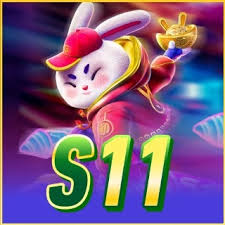 s11